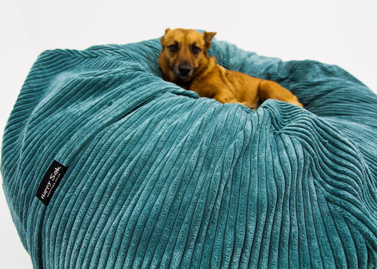 M Sak Teal Corduroy Extra Cover - Happy Sak SA