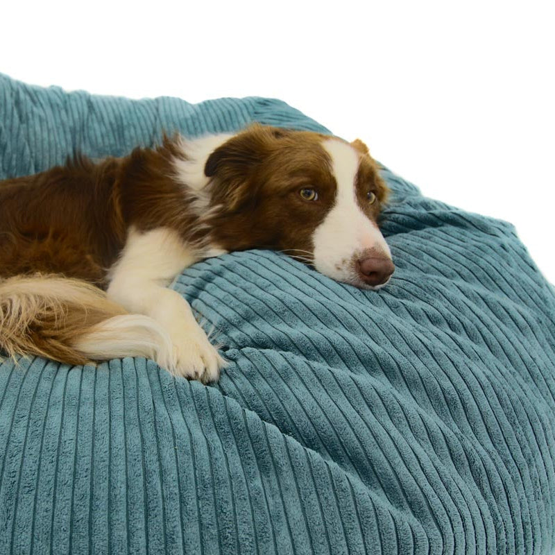 L Sak Teal Corduroy Extra Cover - Happy Sak SA