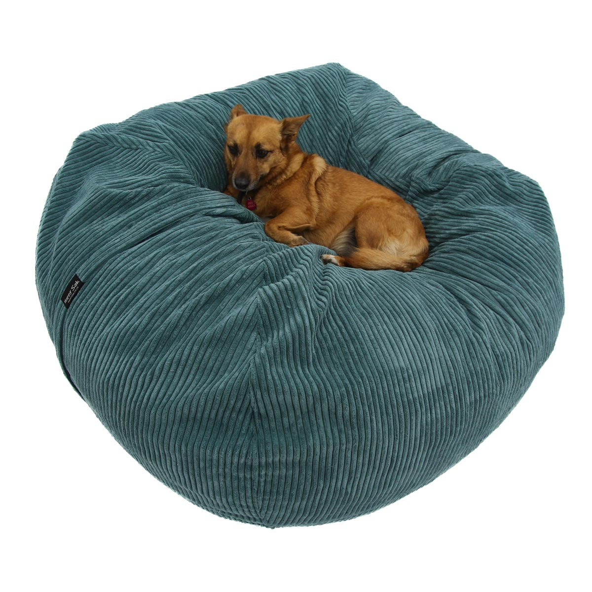 M Sak Teal Corduroy - Happy Sak SA