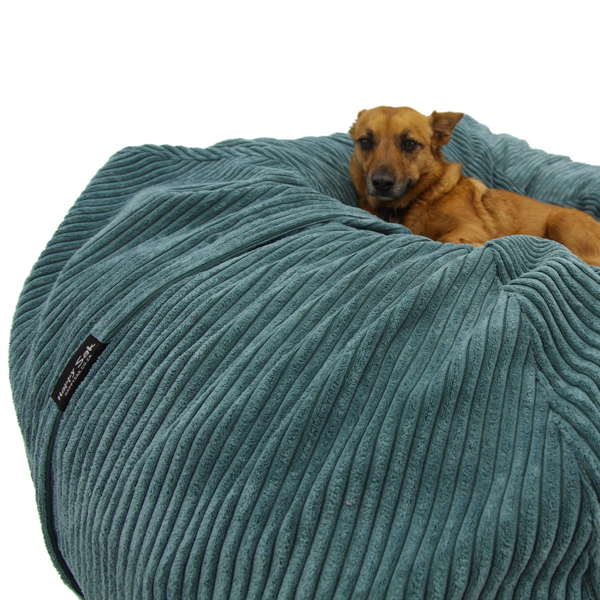 M Sak Teal Corduroy Extra Cover - Happy Sak SA