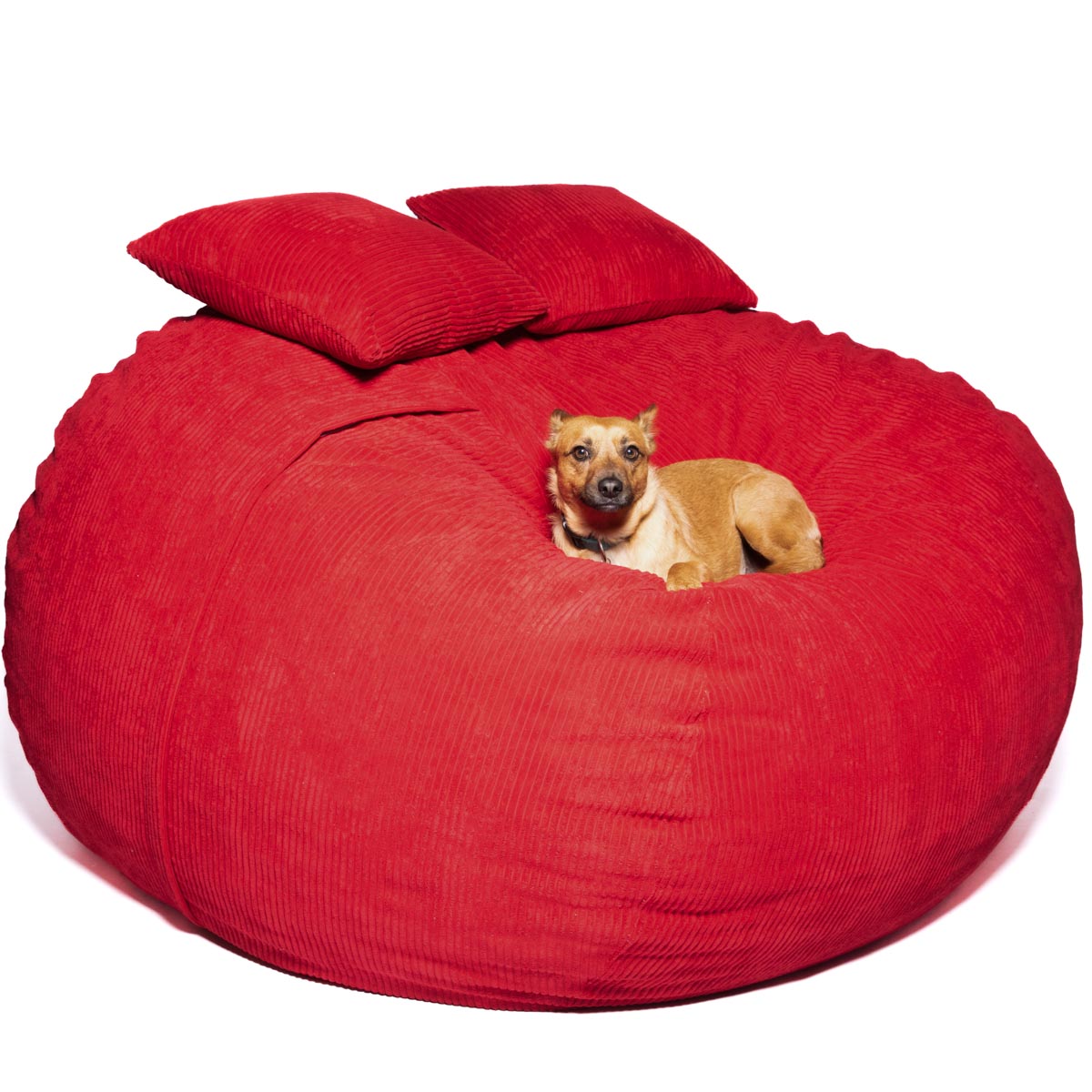 XXXL Sak Red Corduroy - Happy Sak SA