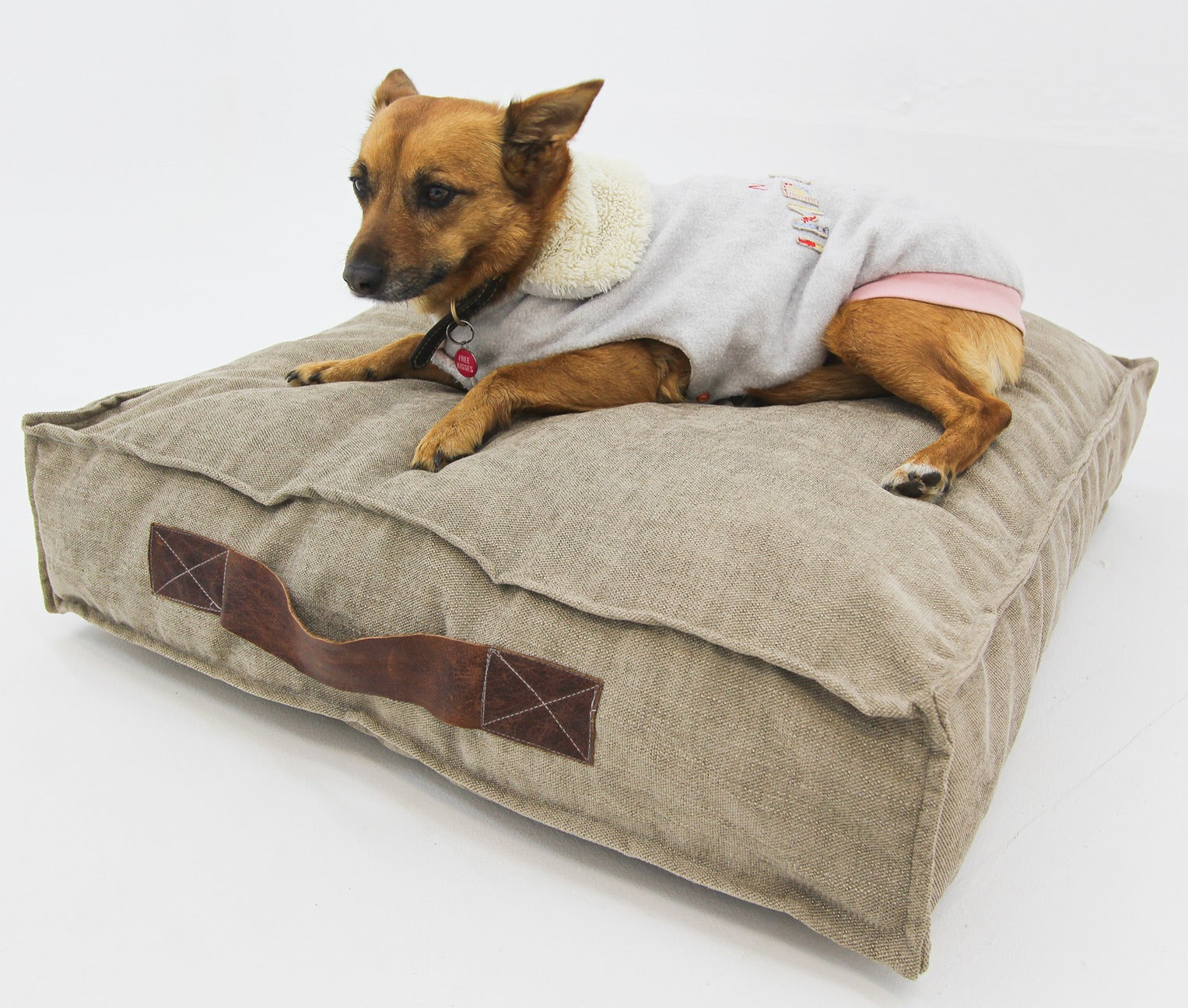 S Dog Bed Beige and Leather Covers - Happy Sak SA