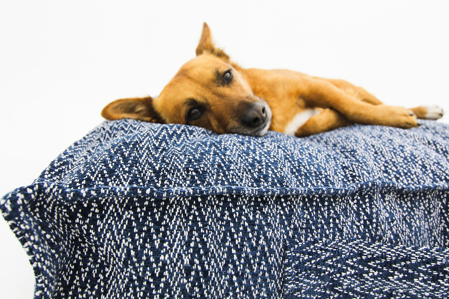 S Dog Bed Dark Blue Extra Cover