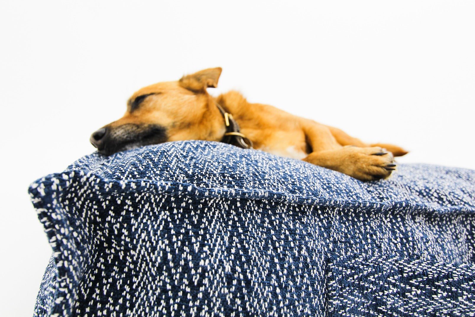S Dog Bed Dark Blue Extra Cover