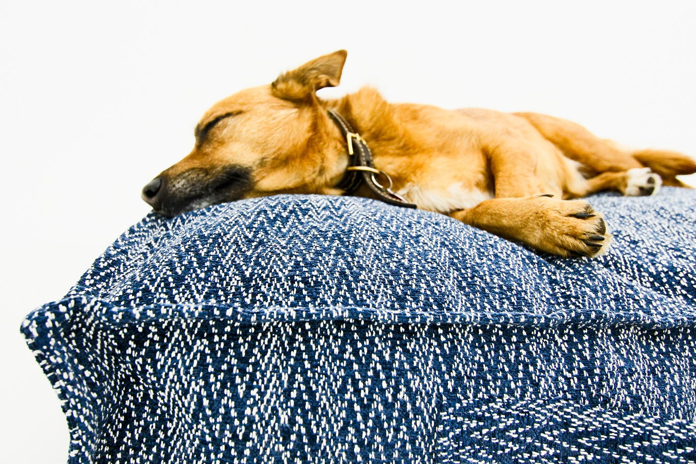 S Dog Bed Dark Blue