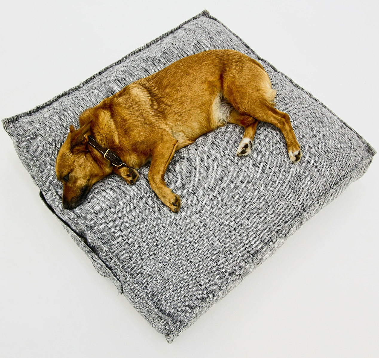 S Dog Bed Grey Black