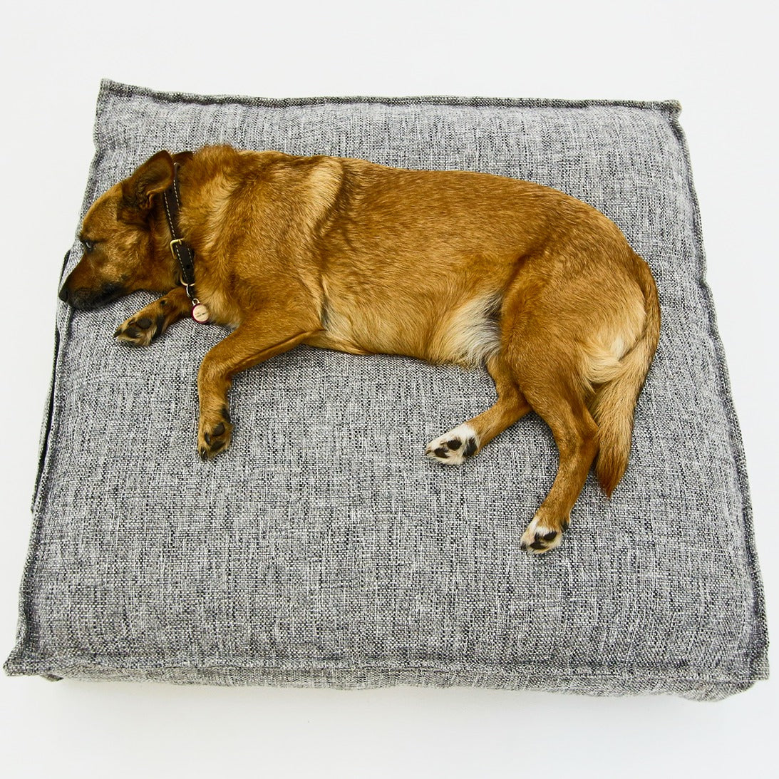 S Dog Bed Grey Black