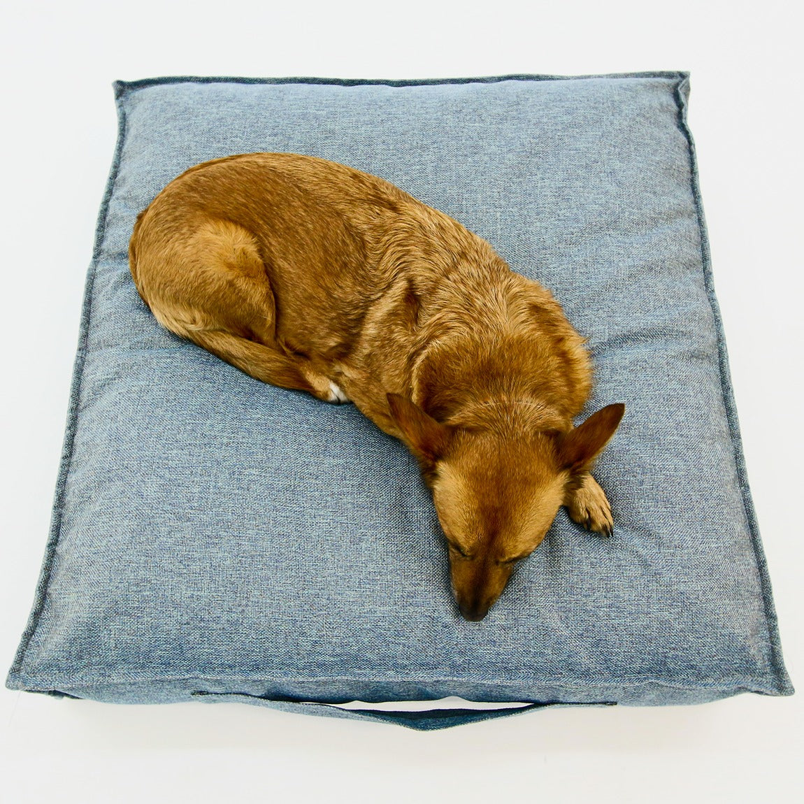 S Dog Bed Light Blue Extra Cover