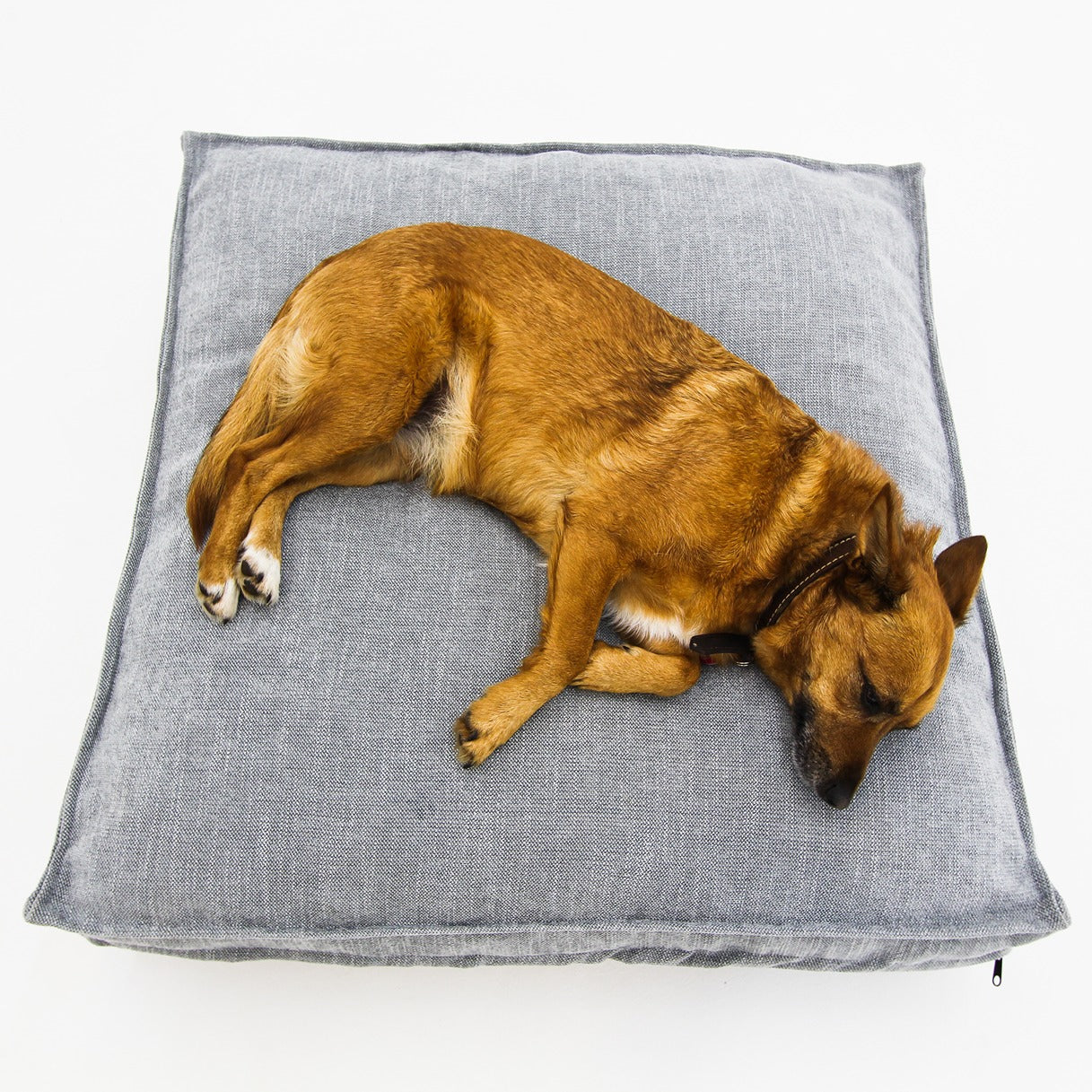 S Dog Bed Grey