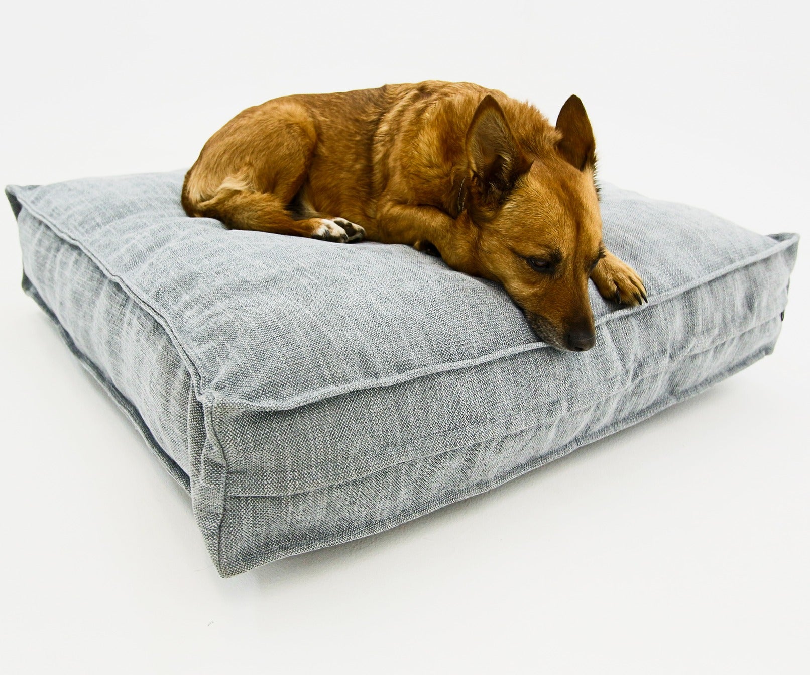 S Dog Bed Grey