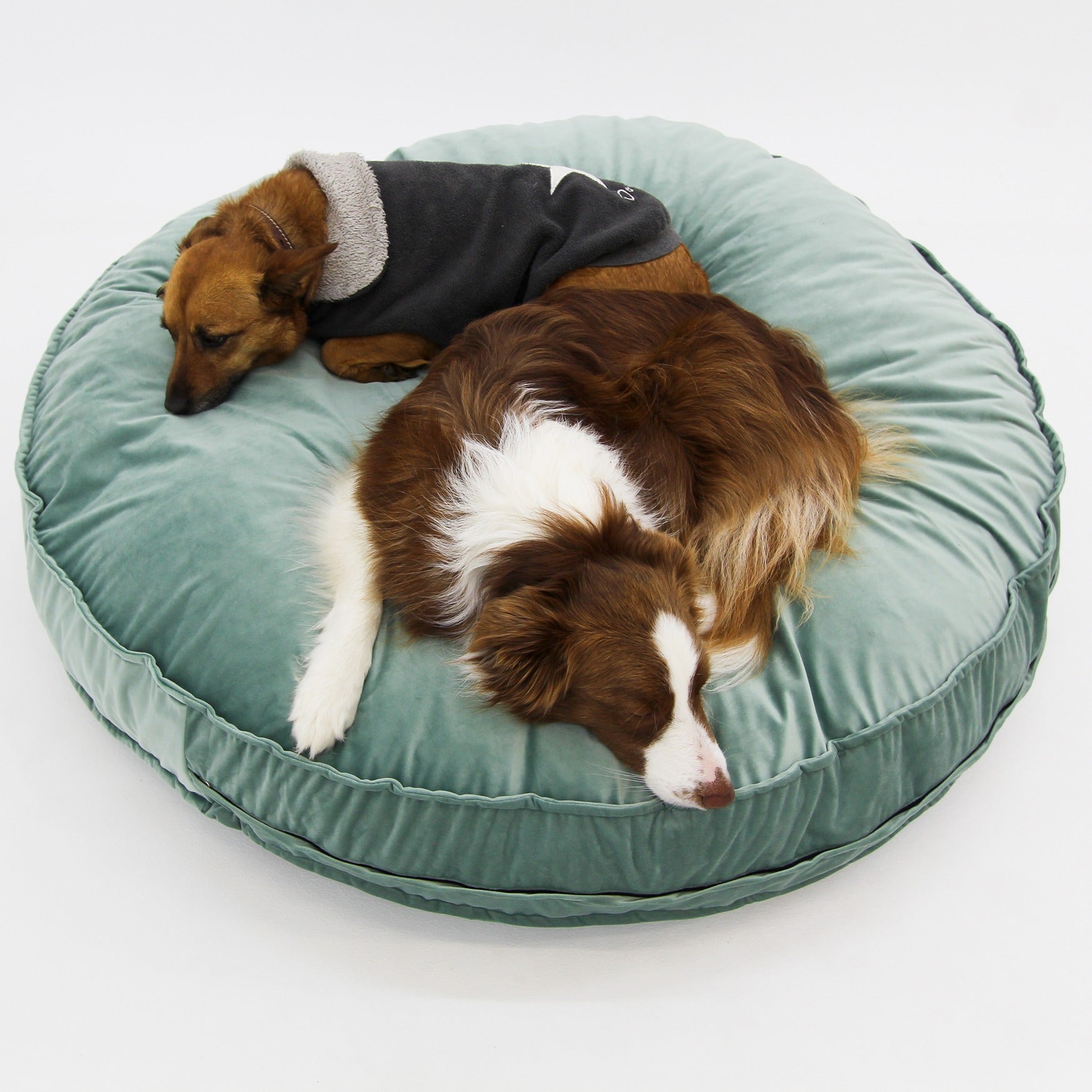 Dog Bed Round Green Velvet Covers