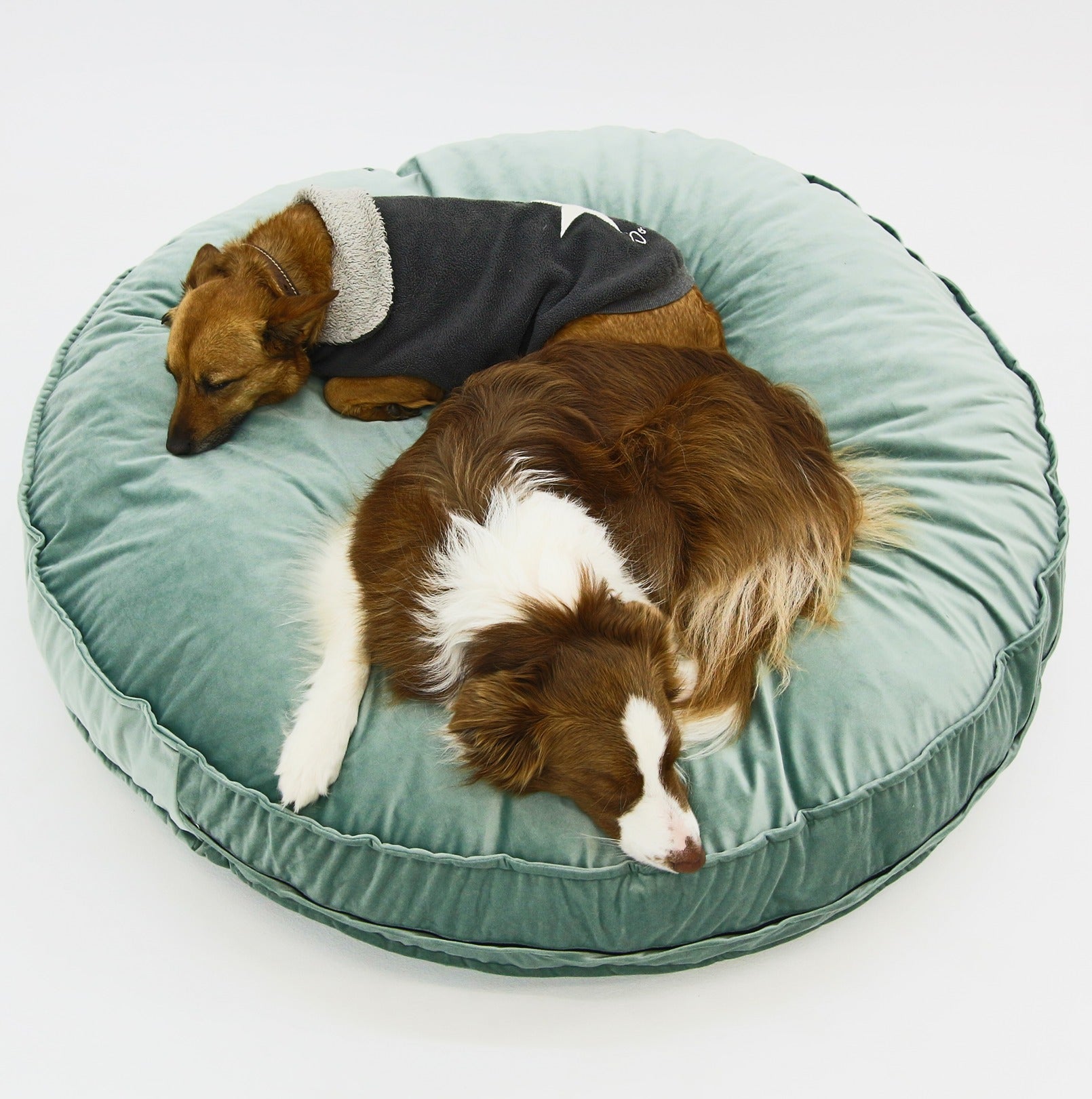 Dog Bed Round Green Velvet Covers