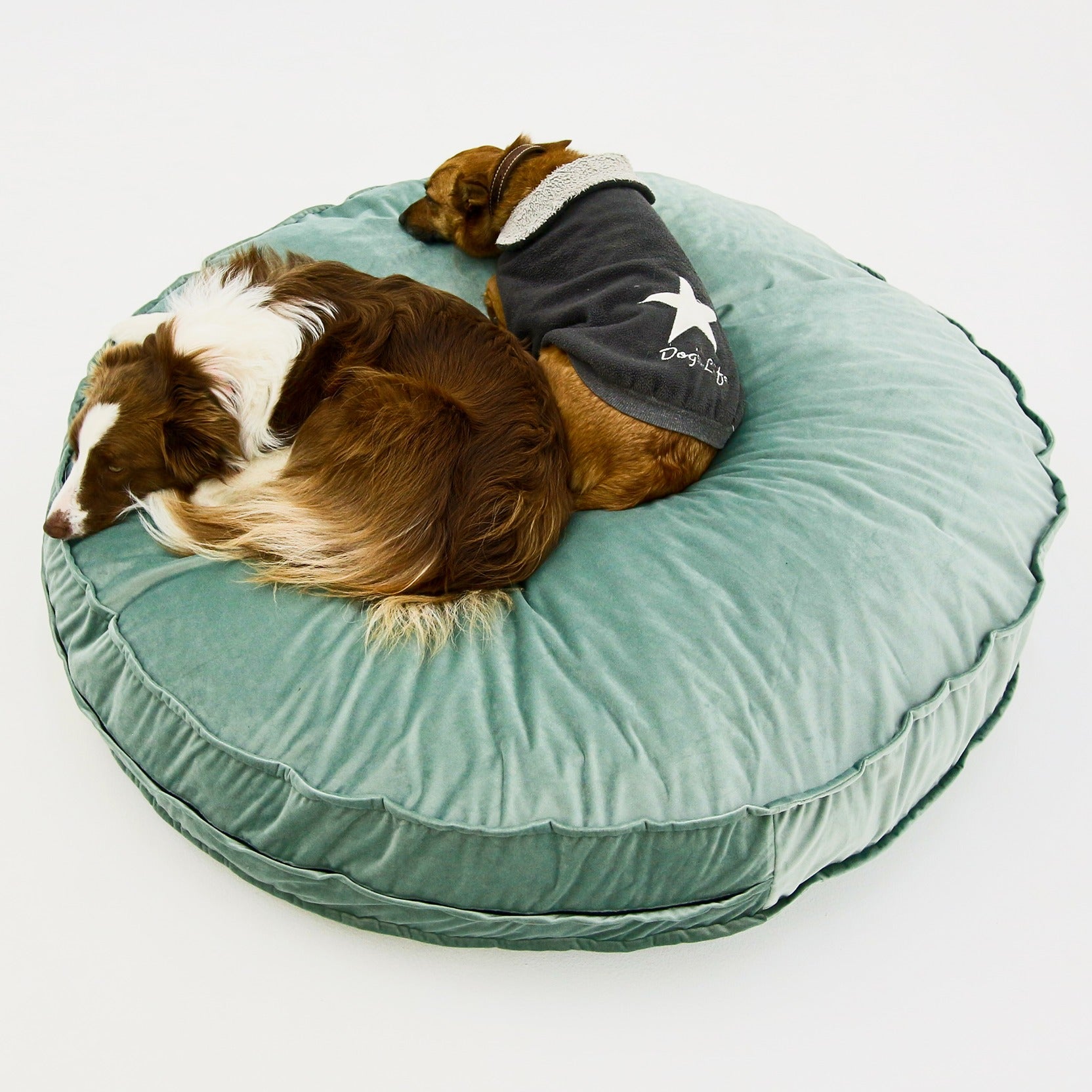 Dog Bed Round Green Velvet Covers