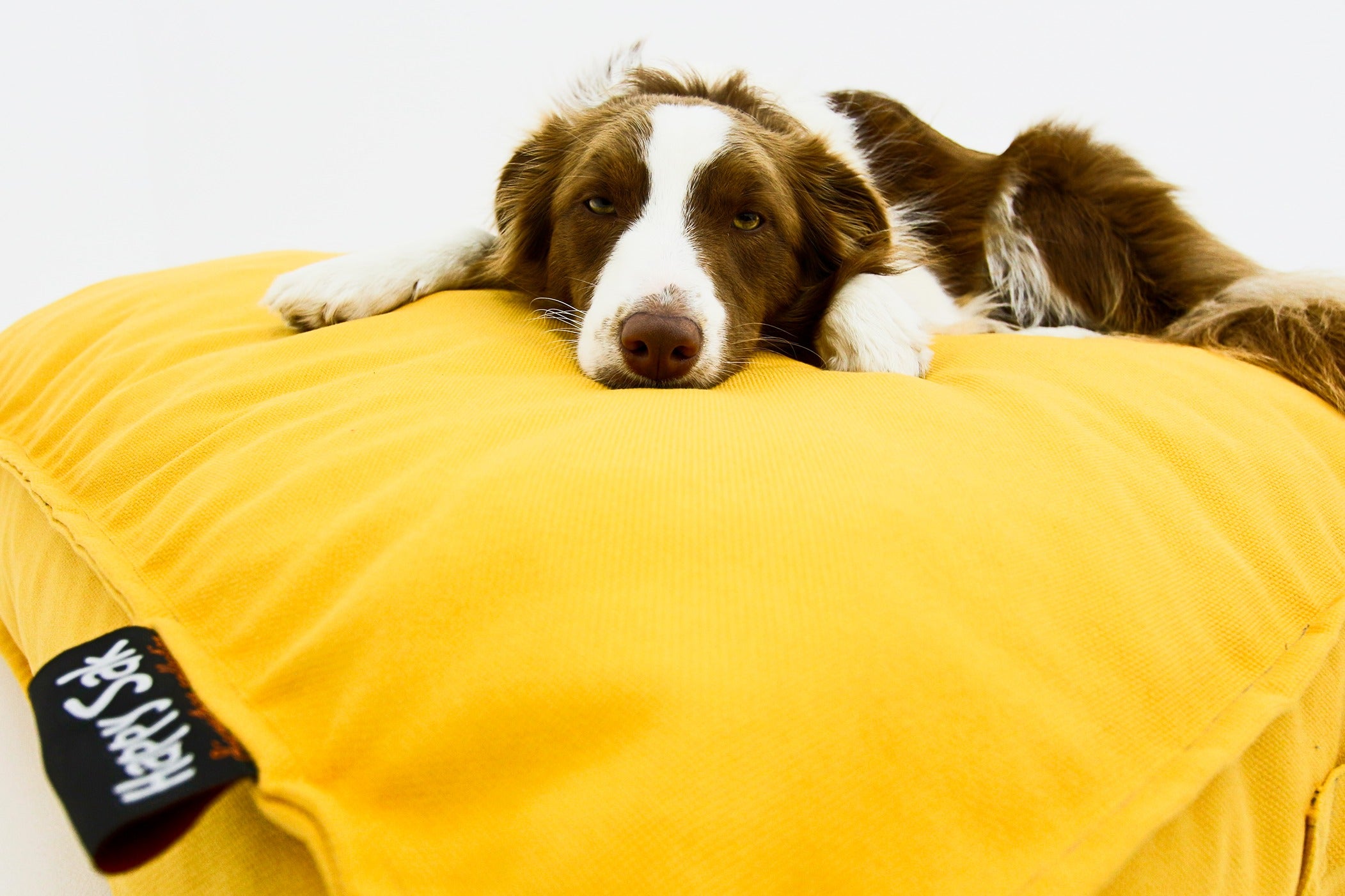 M Dog Bed Yellow Covers - Happy Sak SA