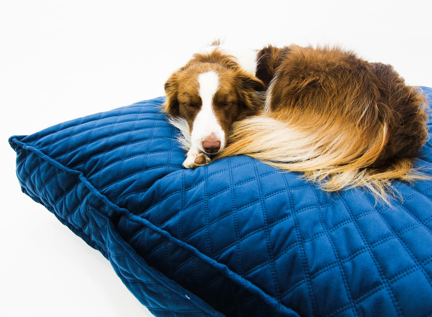 M Dog Bed Blue Velvet