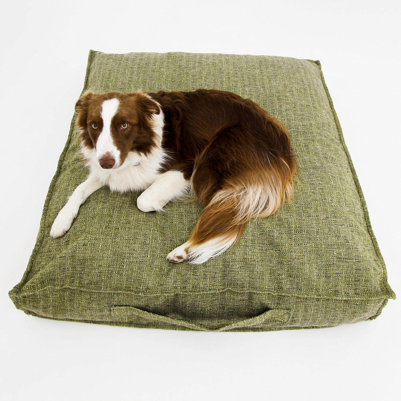 M Dog Bed Green Extra Cover
