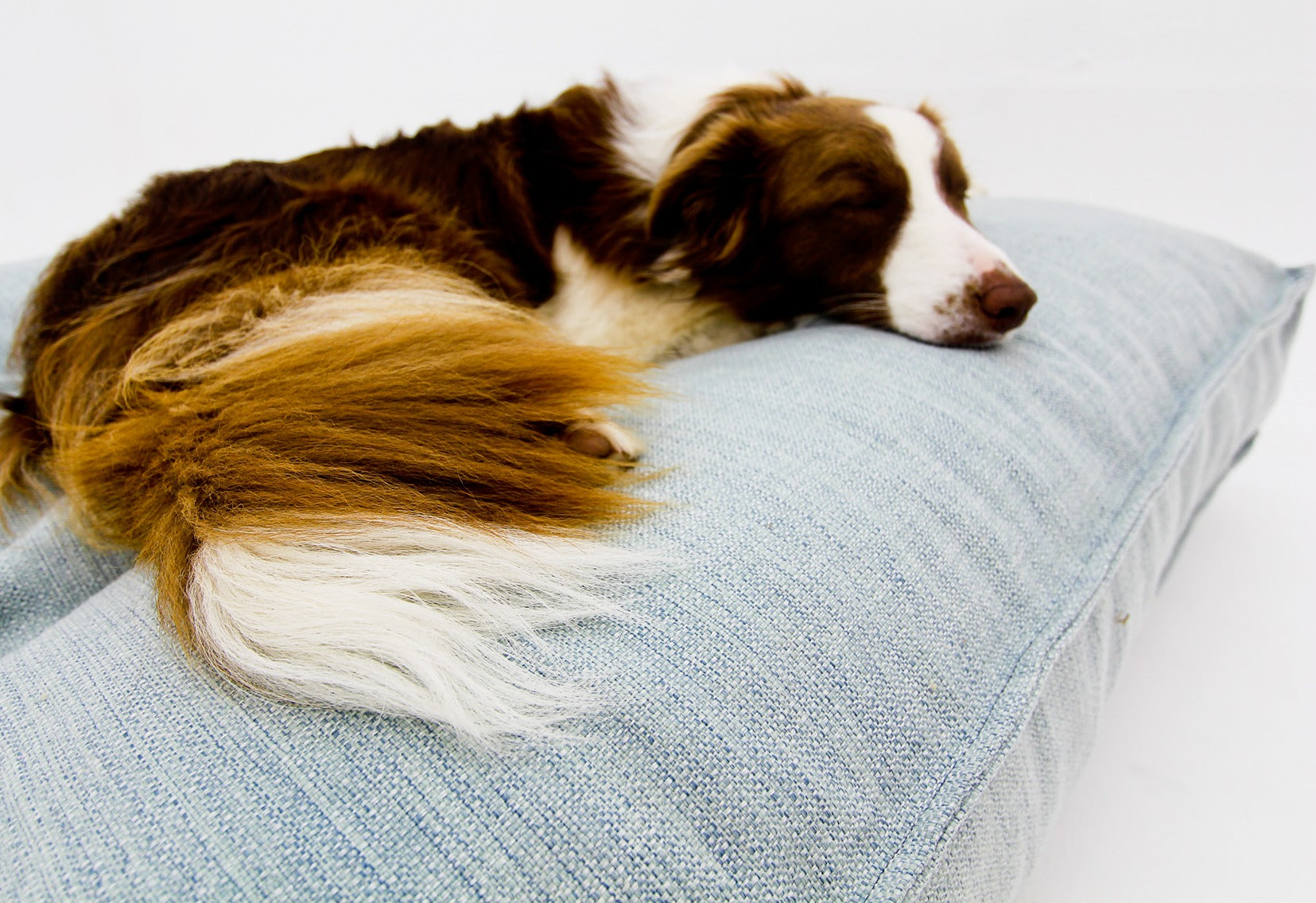 M Dog Bed Light Blue Extra Cover