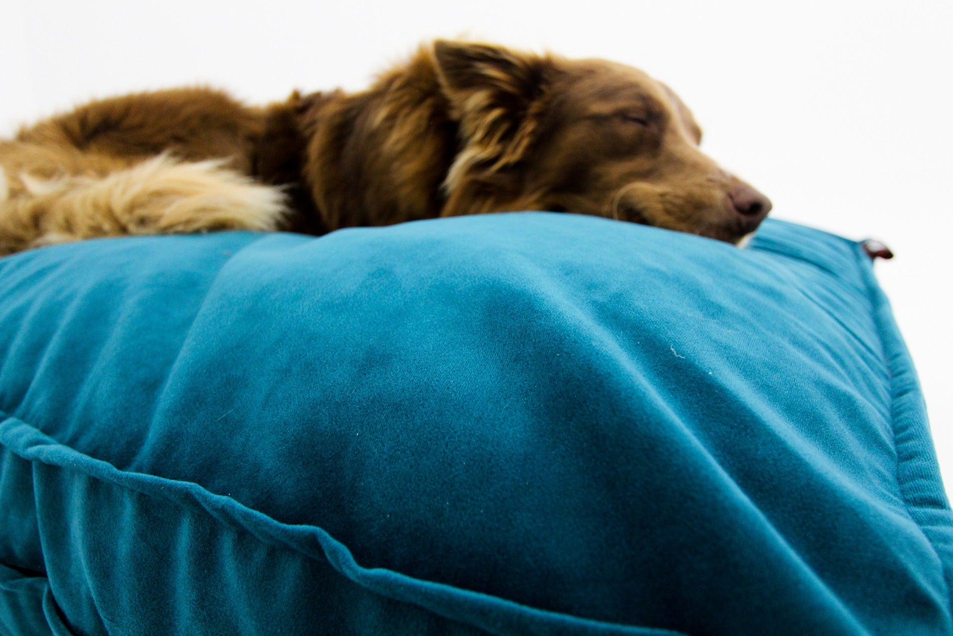 M Dog Bed Teal Velvet