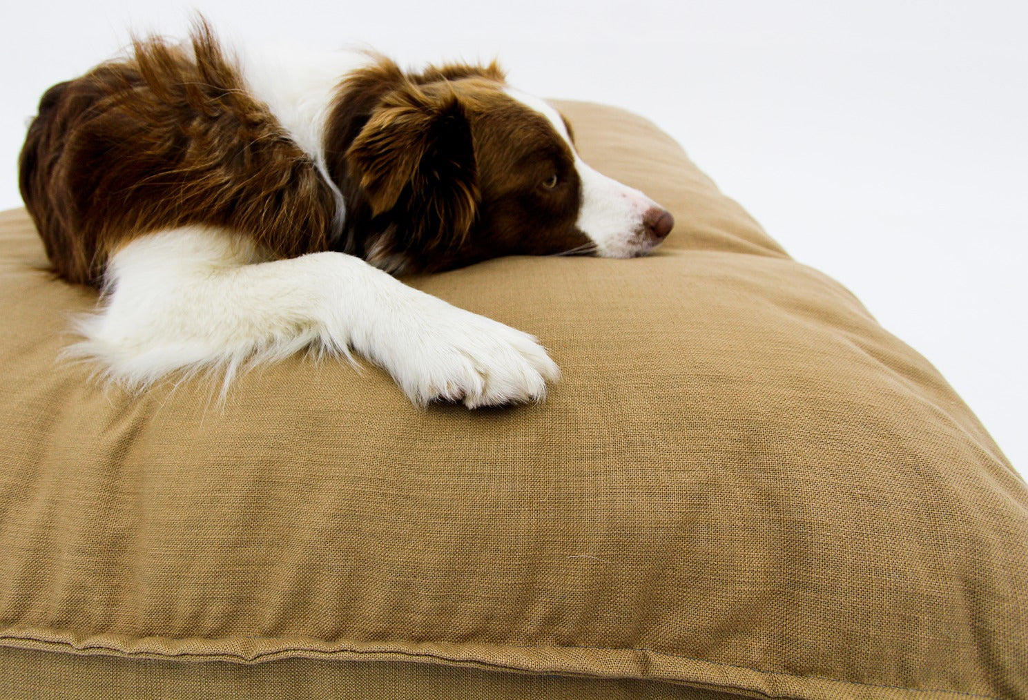 M Dog Bed Beige Indoor - Happy Sak SA