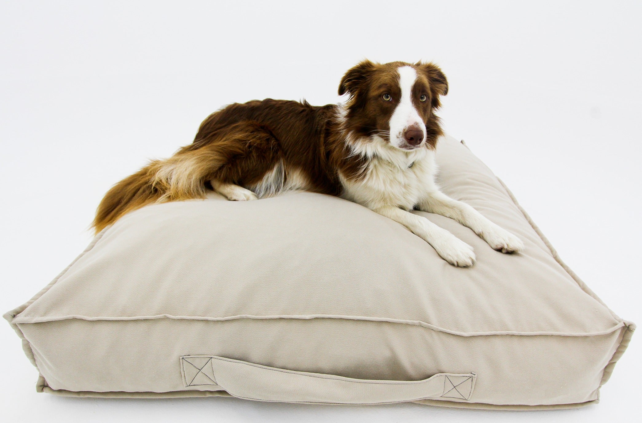 M Dog Bed Cream