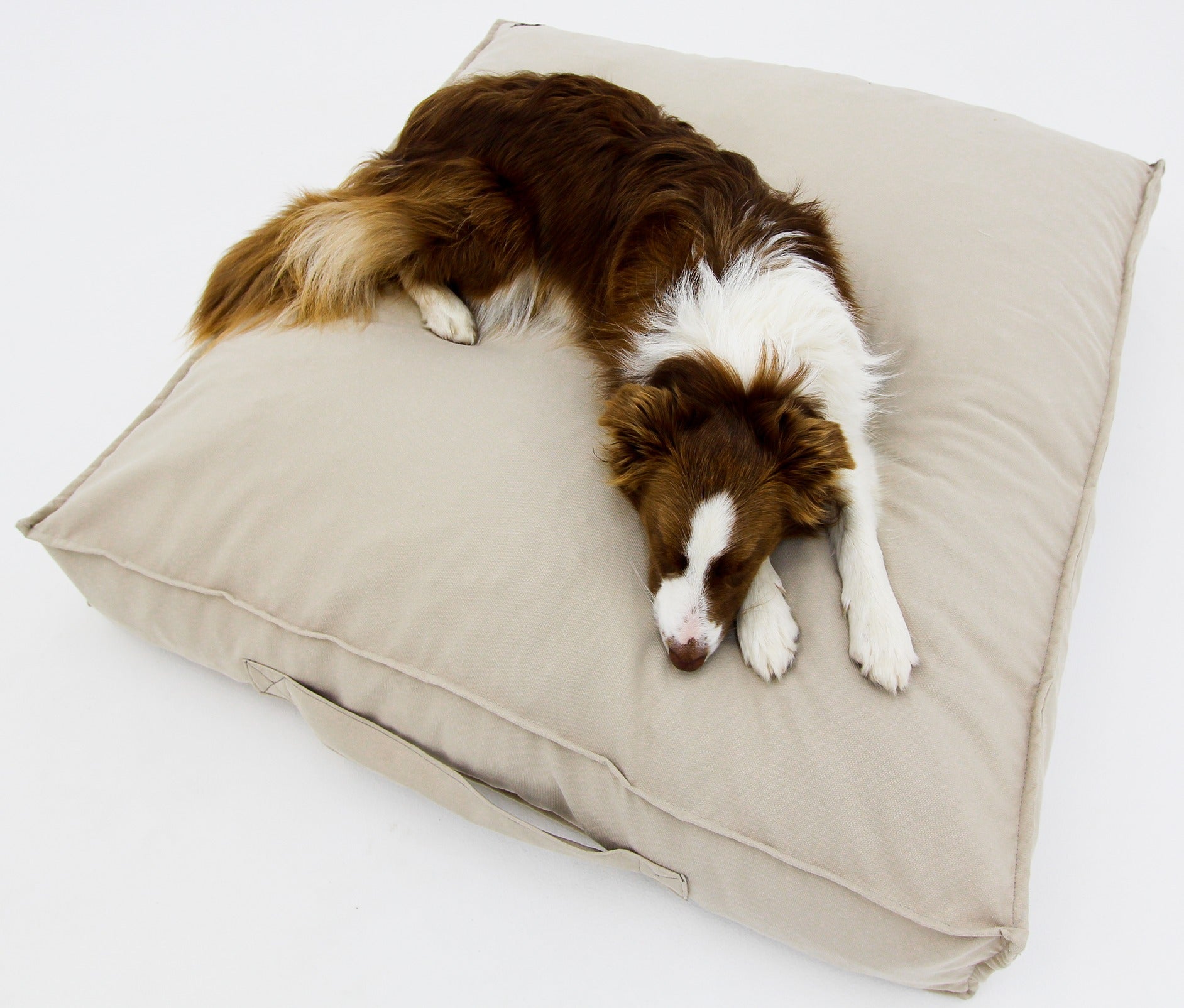 M Dog Bed Cream Extra Cover