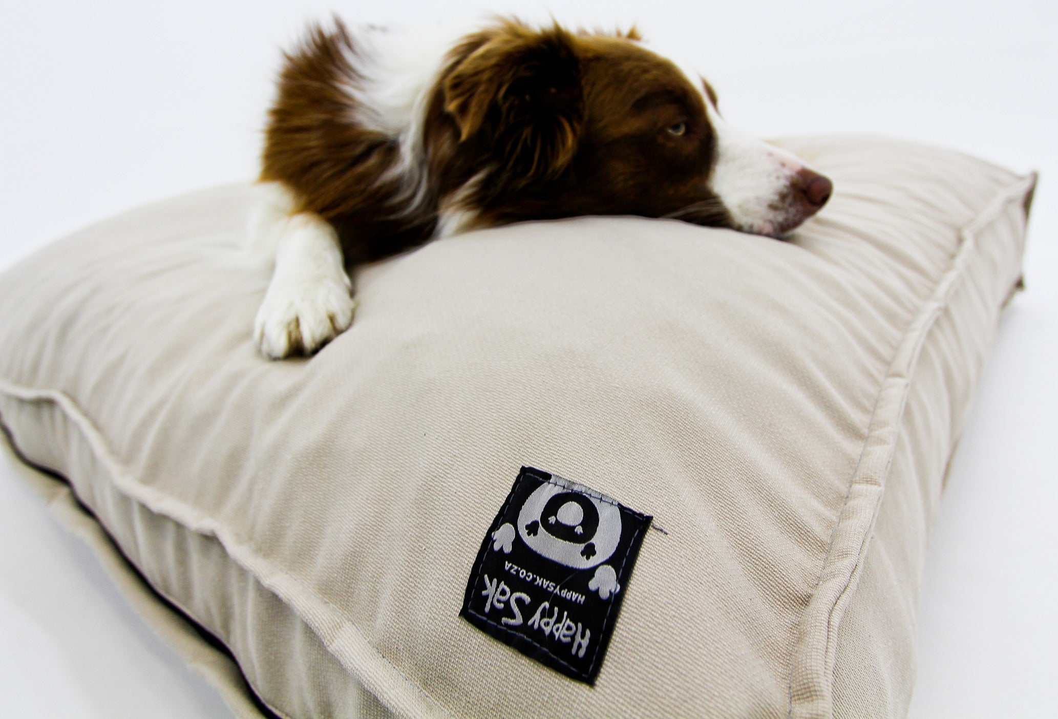 M Dog Bed Cream Extra Cover