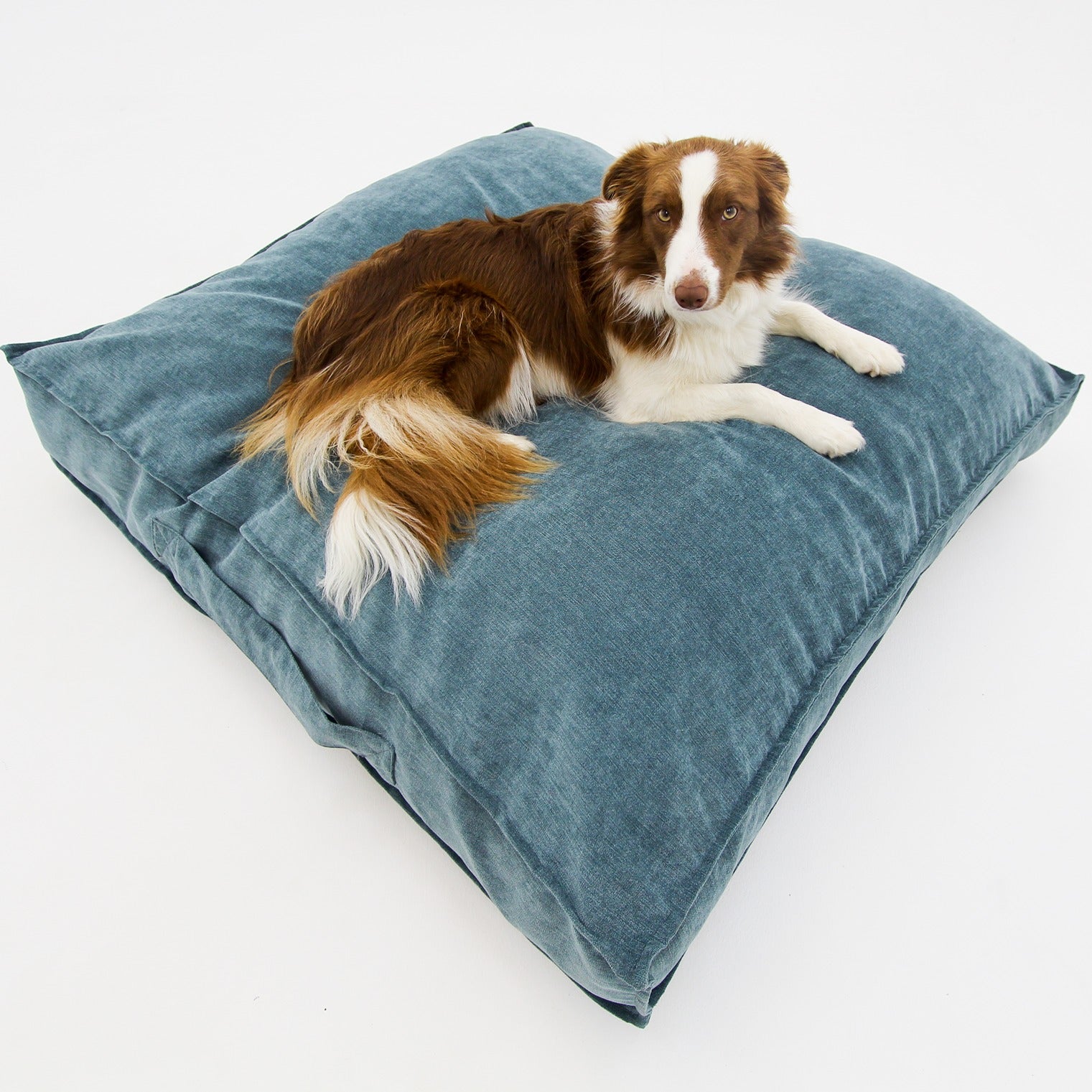M Dog Bed Blue Extra Cover