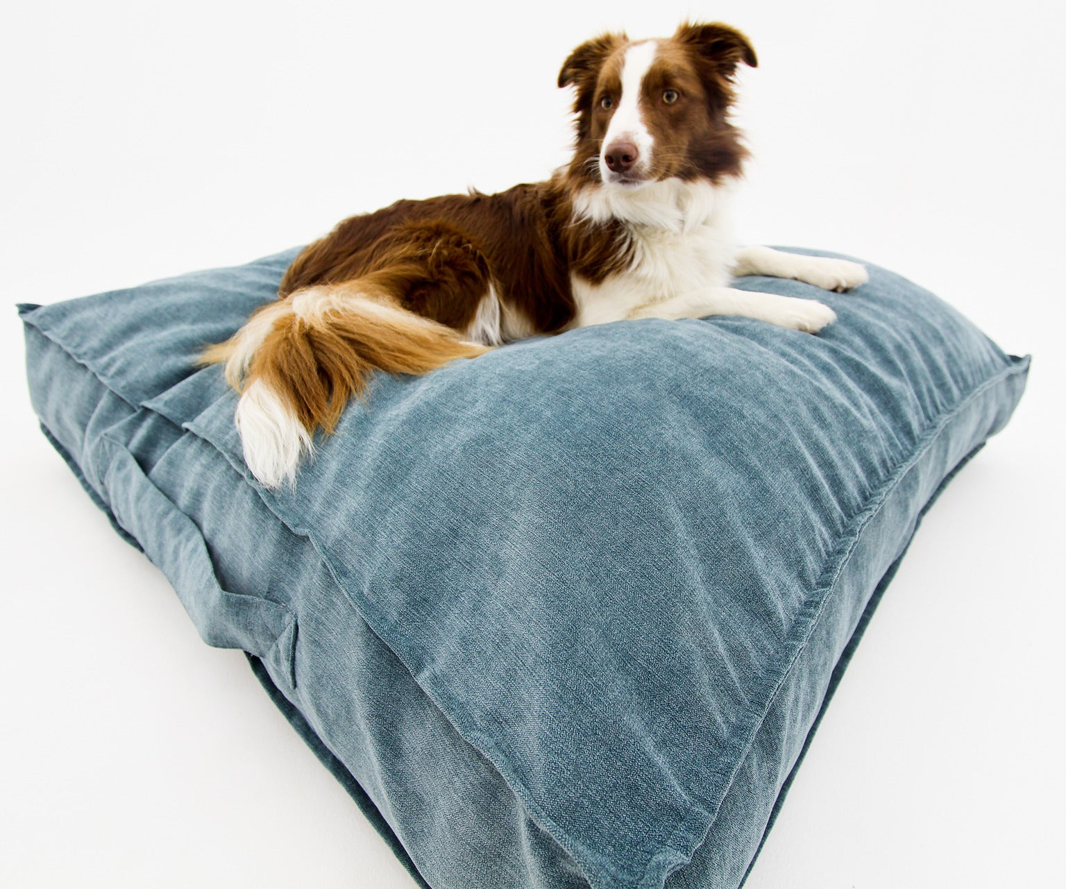 M Dog Bed Blue Extra Cover