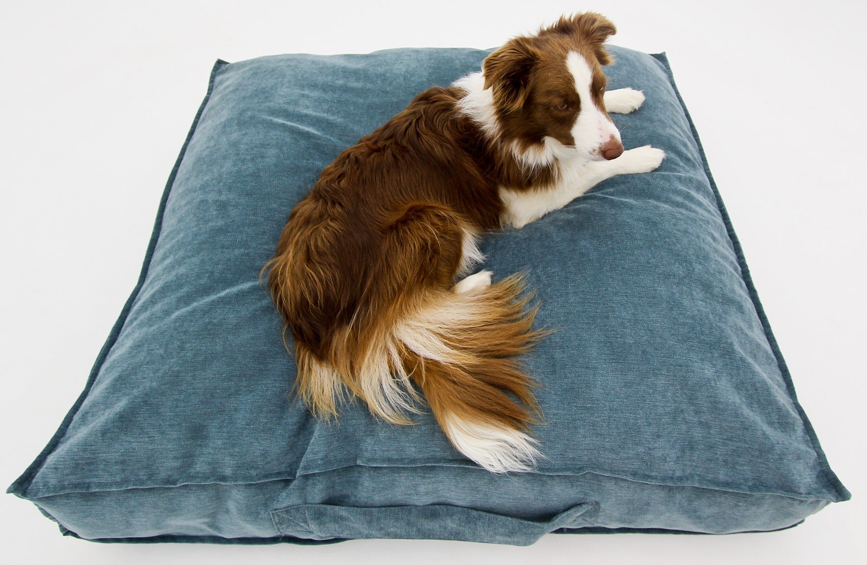 M Dog Bed Blue