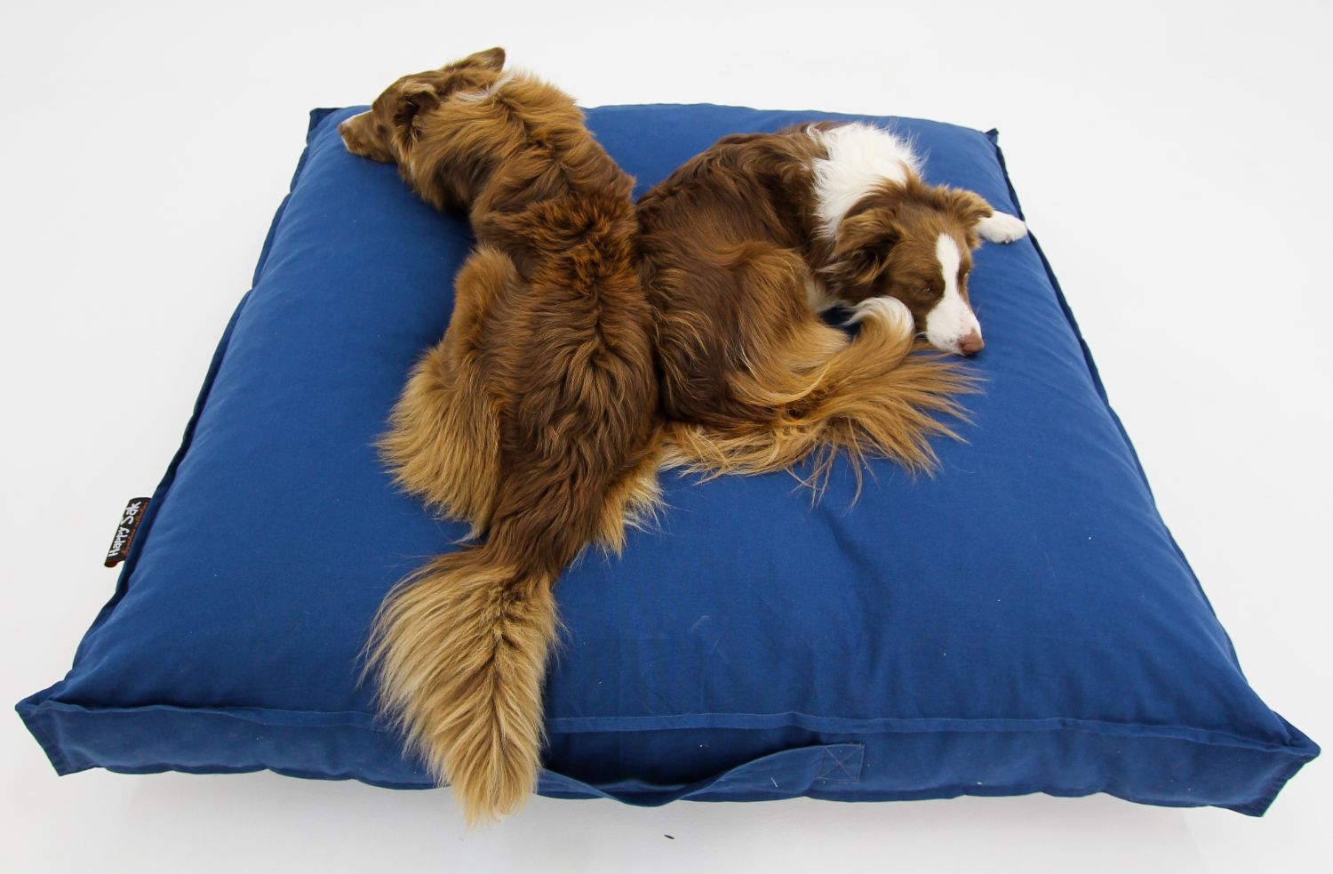 L Dog Bed Blue Covers - Happy Sak SA