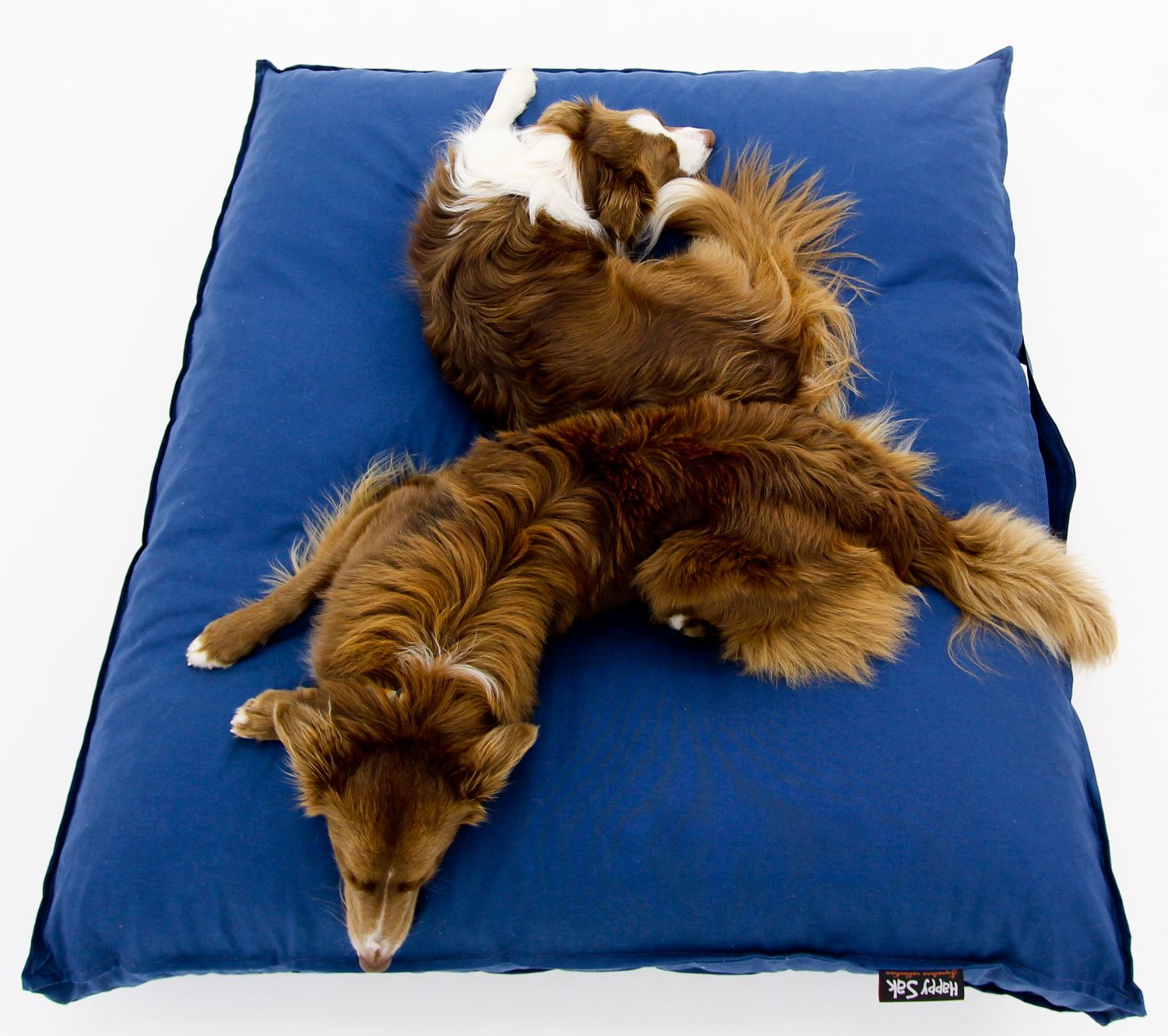 L Dog Bed Blue Covers - Happy Sak SA