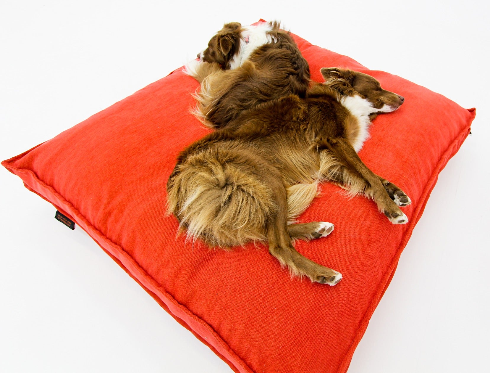 L Dog Bed Red Extra Cover