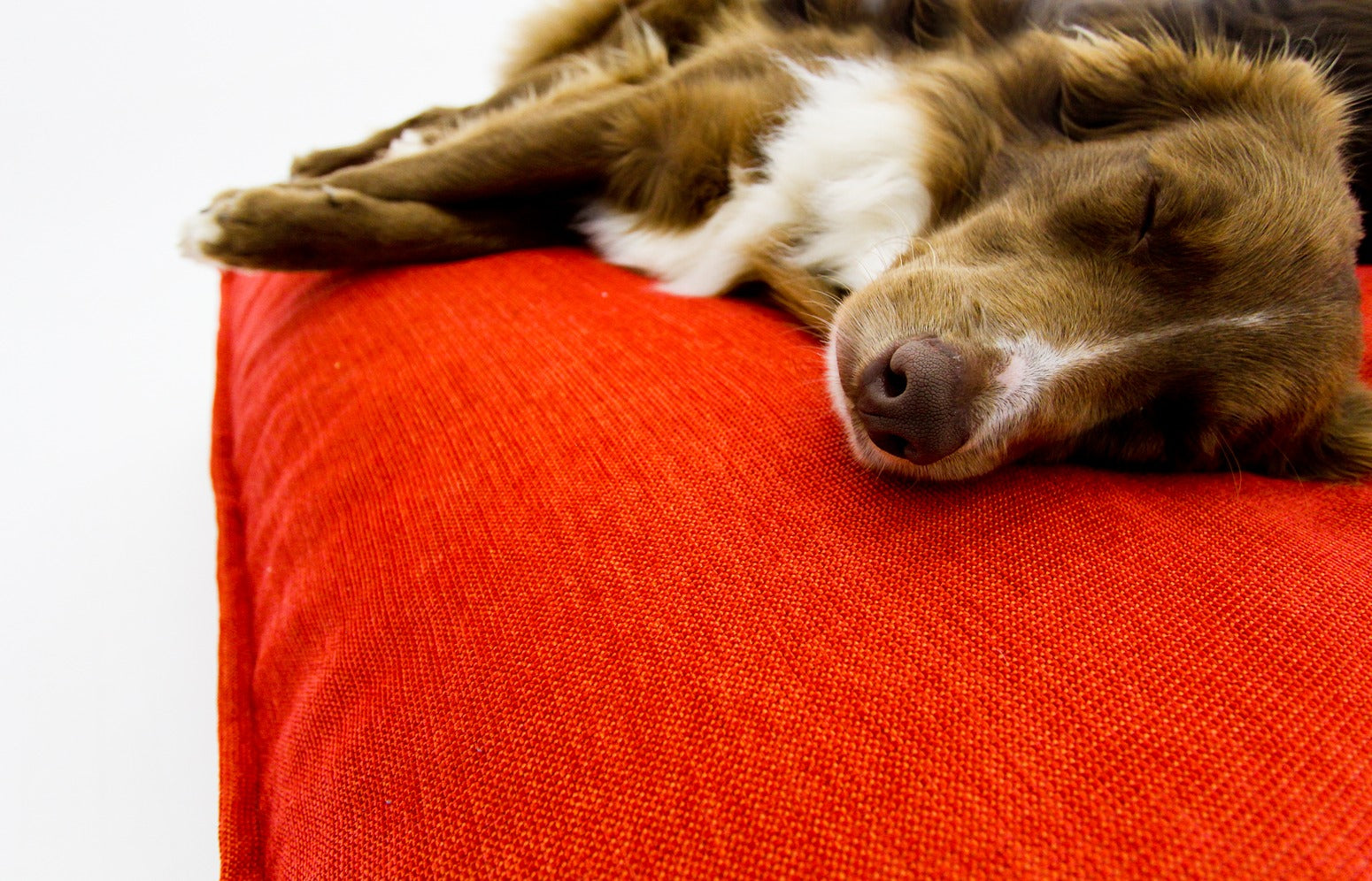 L Dog Bed Red Extra Cover