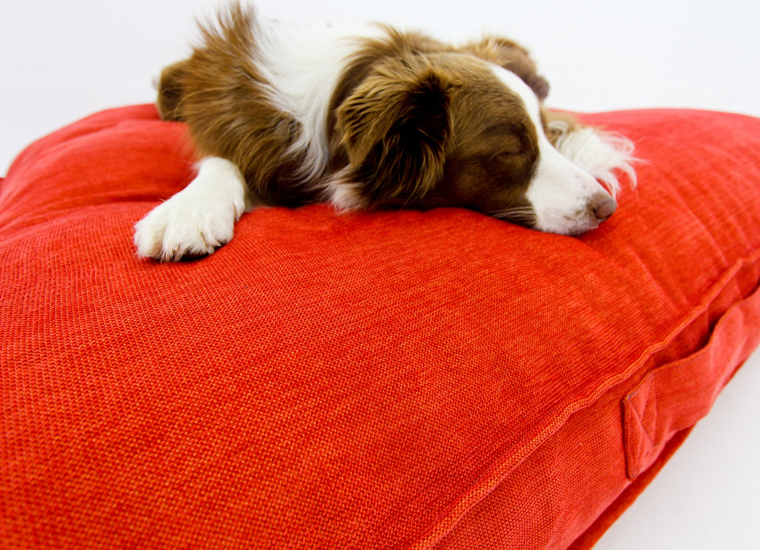 L Dog Bed Red Extra Cover