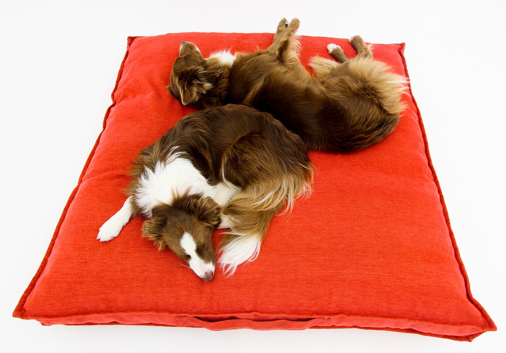 L Dog Bed Red Extra Cover
