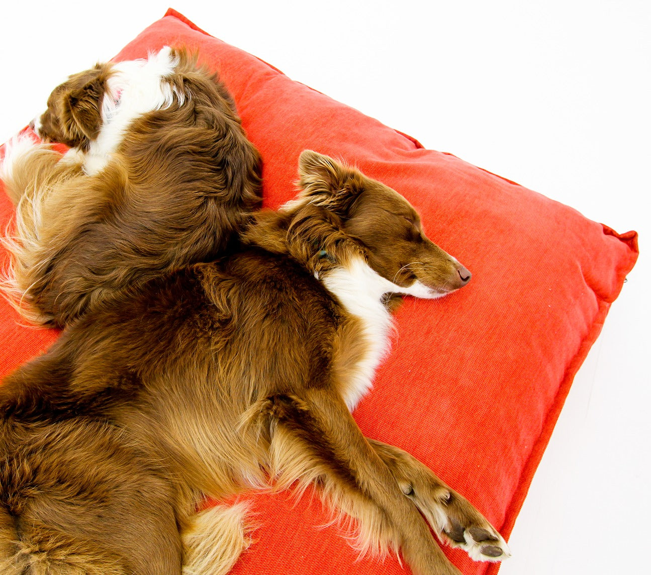L Dog Bed Red Extra Cover