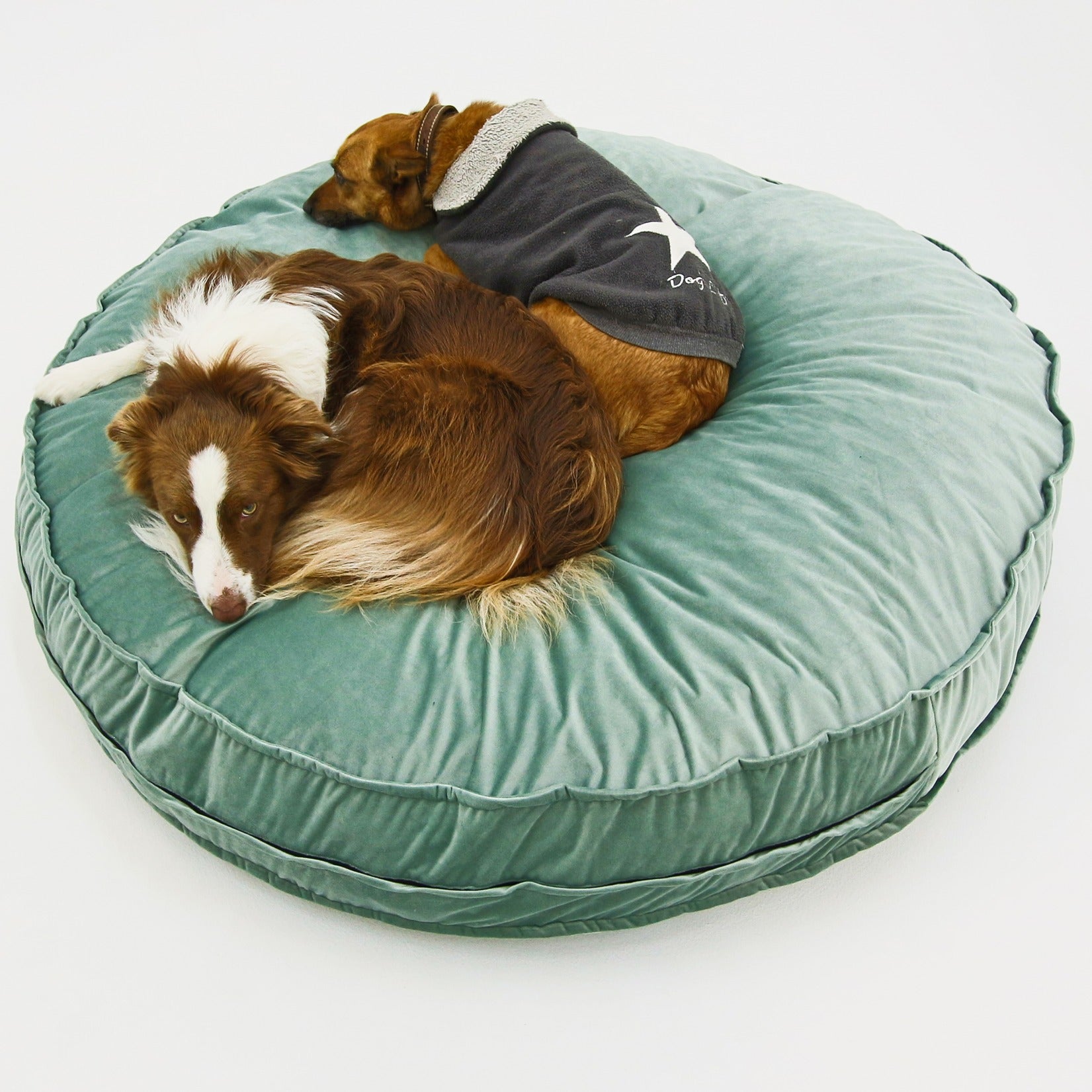 Dog Bed Round Green Velvet