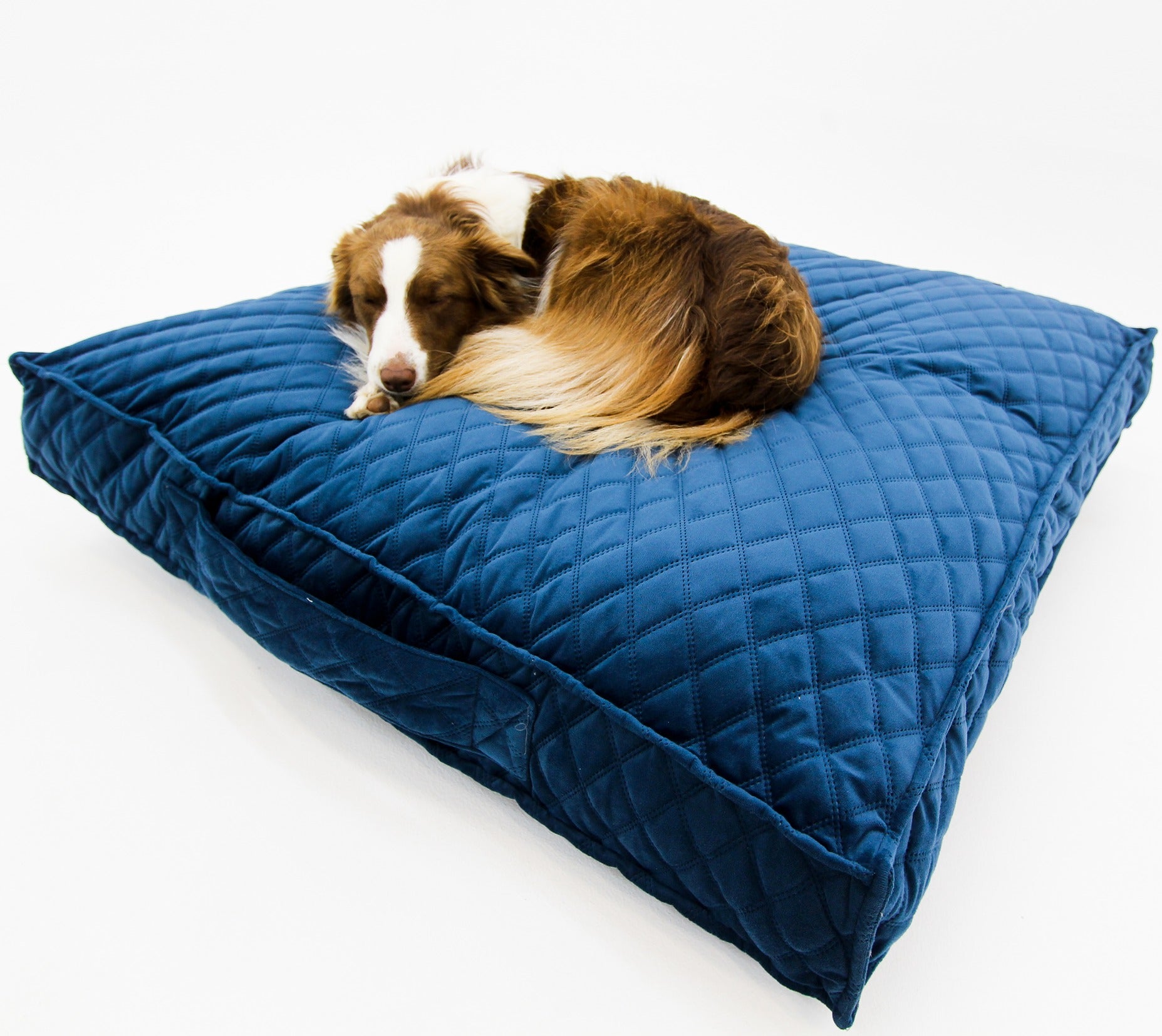 M Dog Bed Blue Velvet