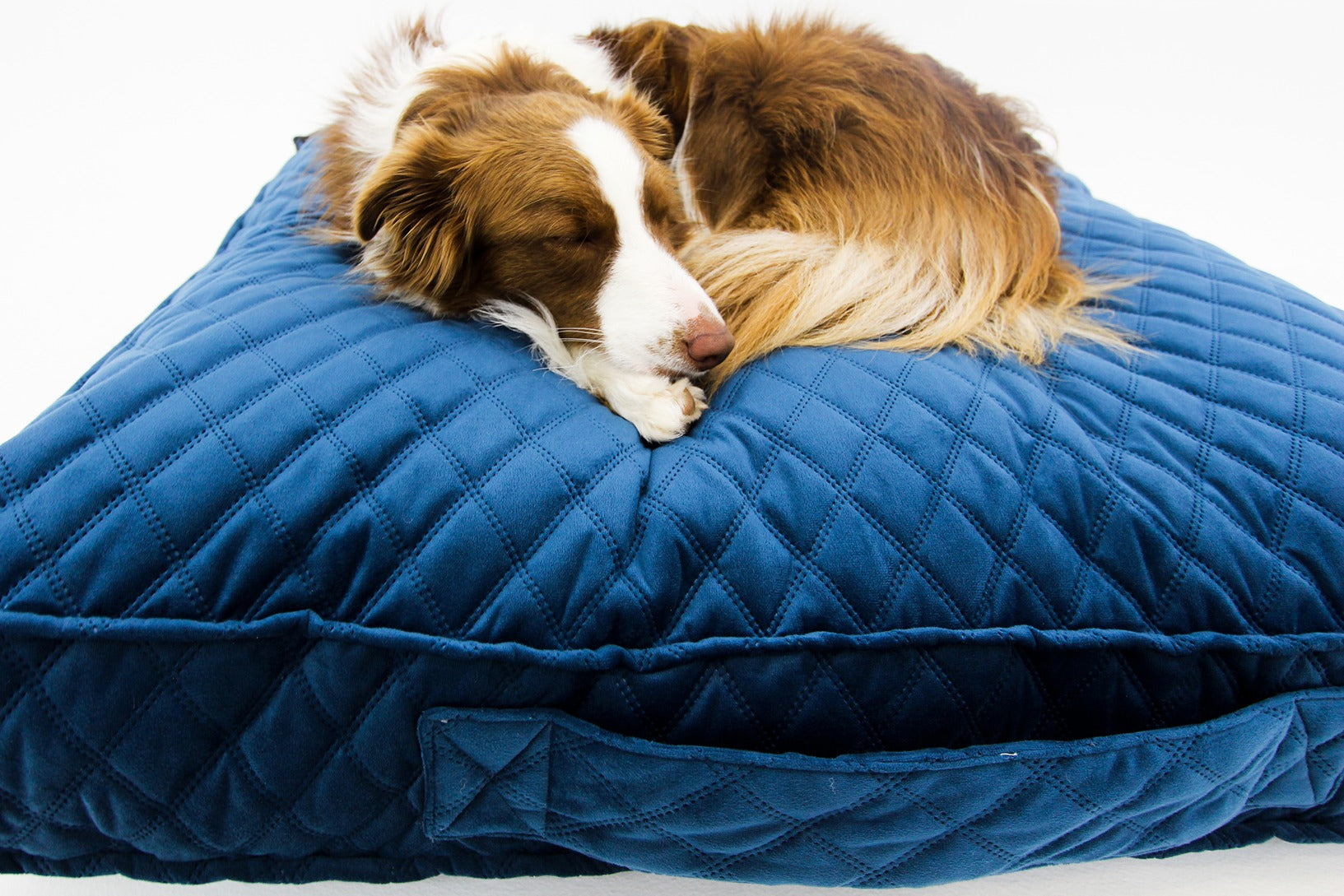 Blue velvet shop dog bed