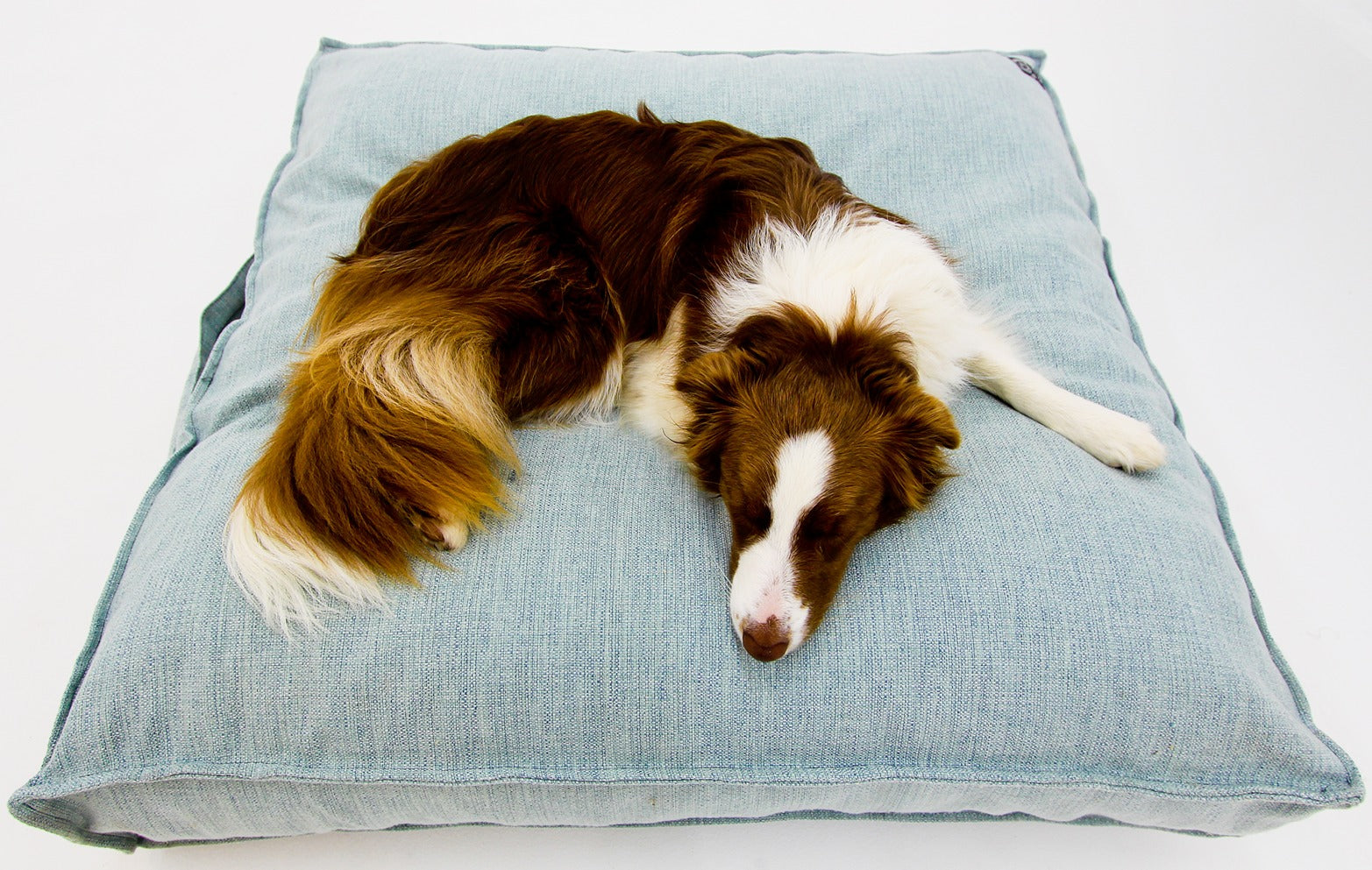M Dog Bed Light Blue Extra Cover