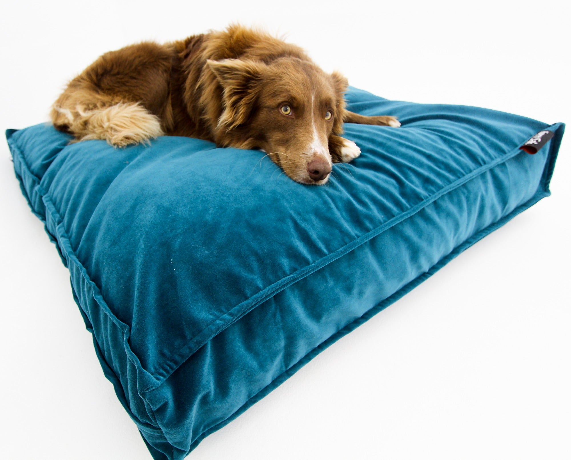 M Dog Bed Teal Velvet