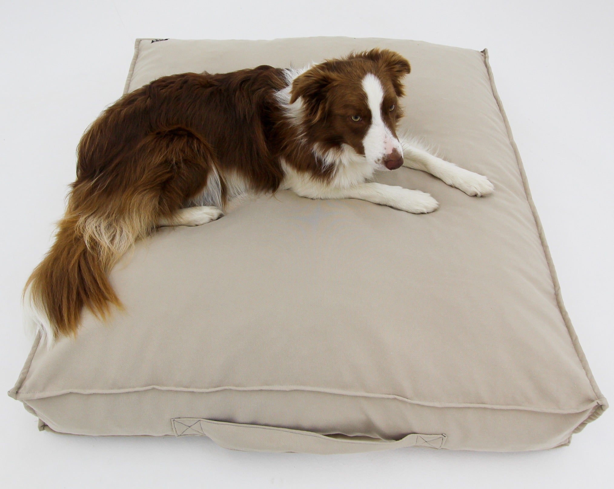 M Dog Bed Cream Extra Cover