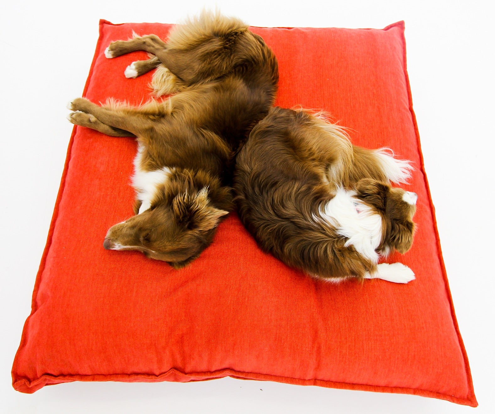 L Dog Bed Red
